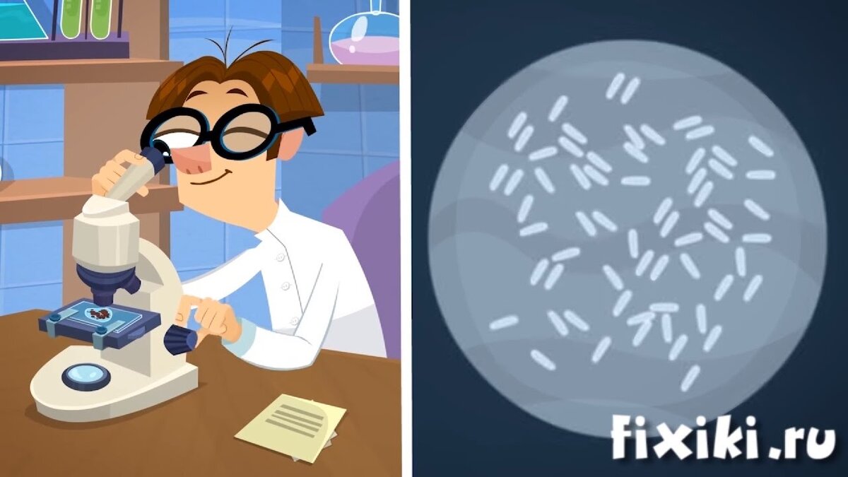 Источник: яндекс-картинки