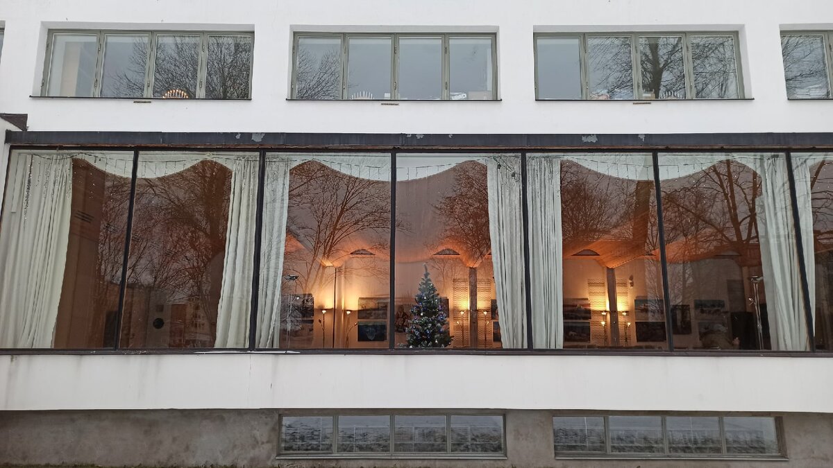 Окна библиотеки (фото автора)