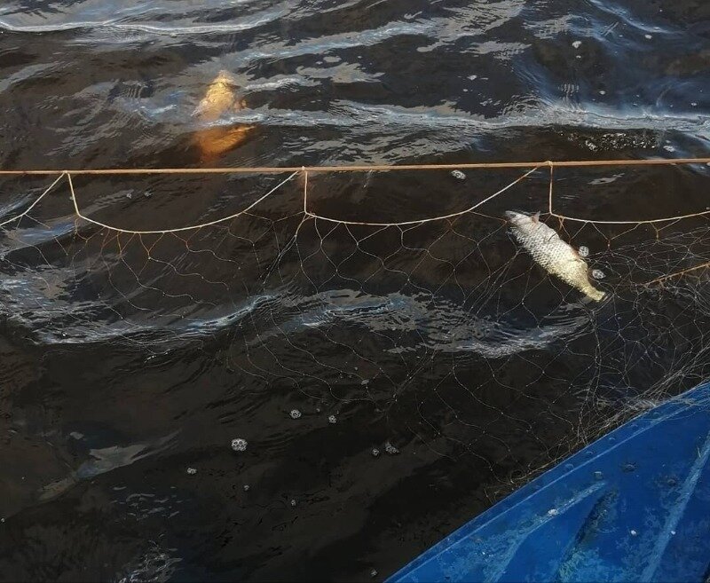 Источник фото: https://www.instagram.com/p/CBVKJmWj_Of/