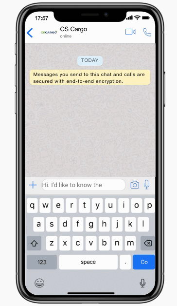 Пример WhatsApp чат-бота для логистических компаний: уточнение местонахождения посылки.