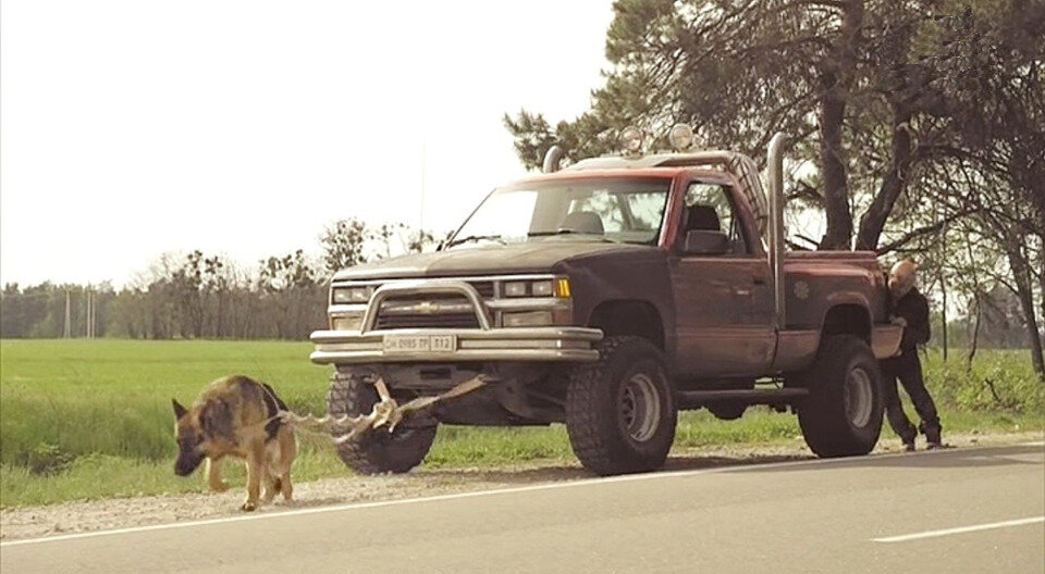 Взято с Яндекс картинки.