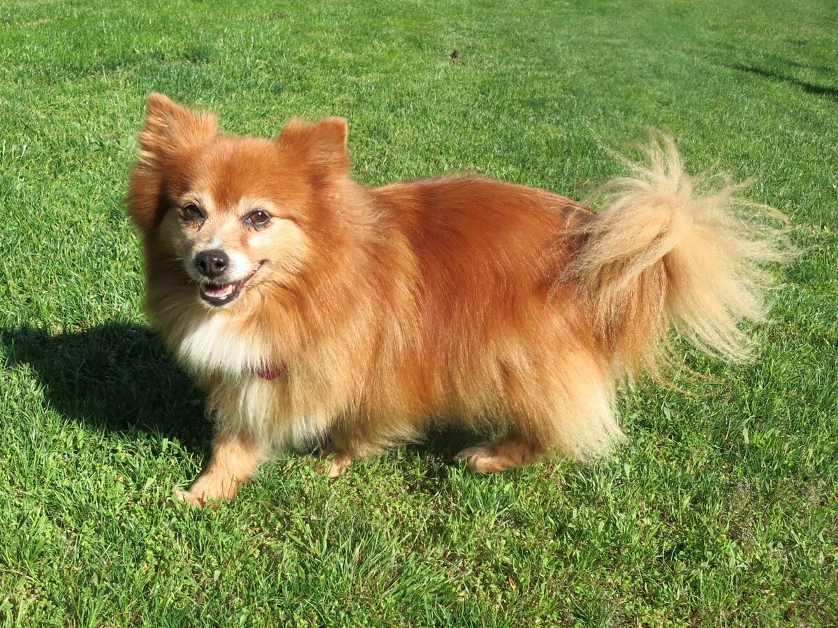 Картинка из сети интернет для иллюстрации