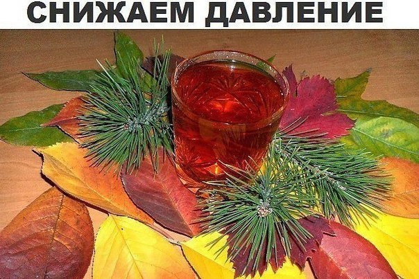 И к тому же он ни стоит ни копейки как вам такое?