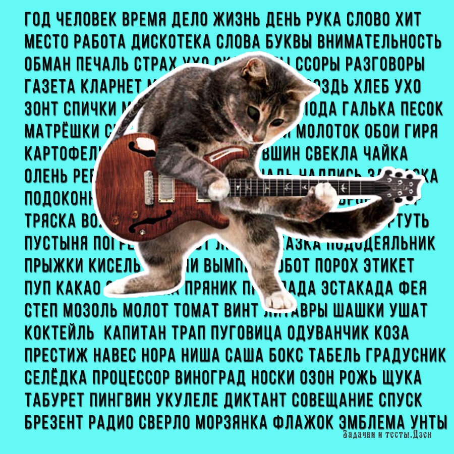 Источник изображения: авторский коллаж