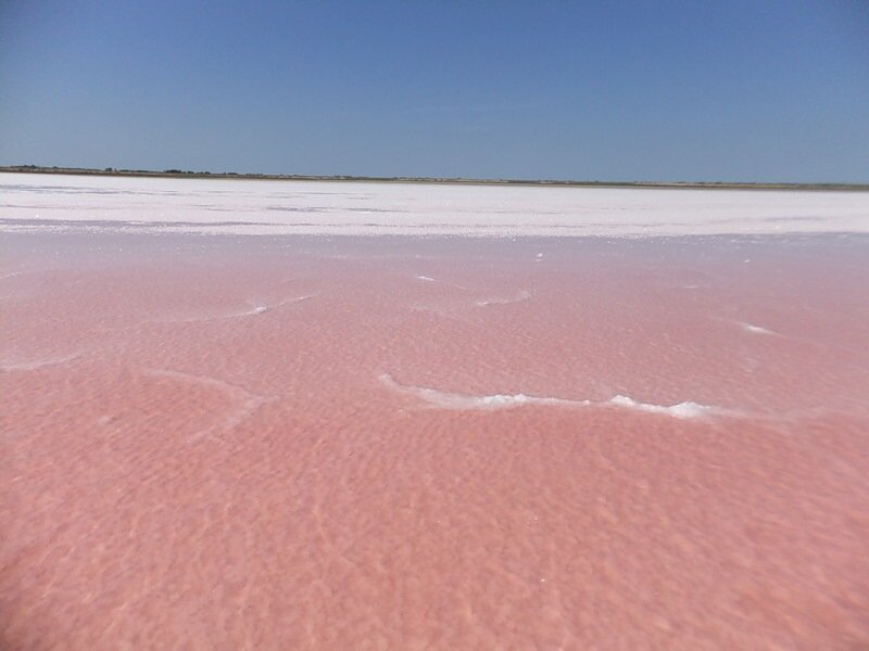 Источник фото: https://a.d-cd.net/16881b2s-960.jpg