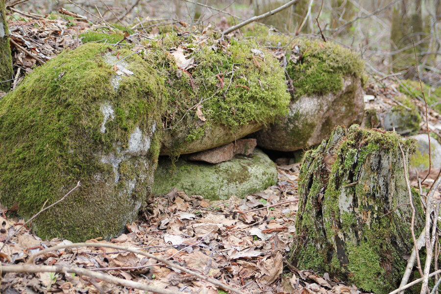 "Жальник" (деталь) - фото автора