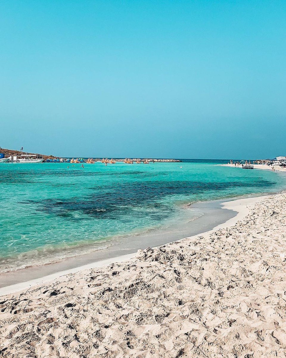 фото с сайта https://pbs.twimg.com