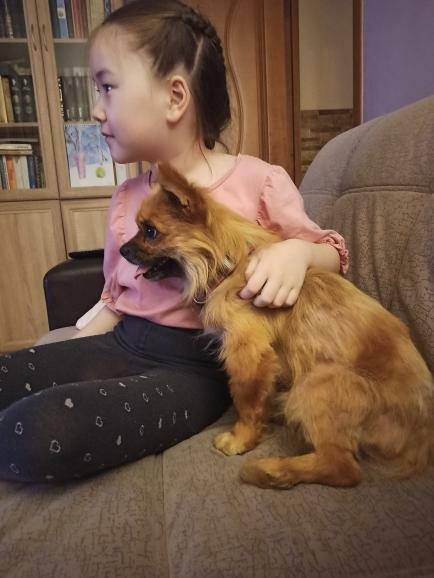 Это Арчик мультики смотрит на пару с новой подругой хозяйкой.) Ему всё интересно, наблюдает как бегают персонажи в телевизоре).