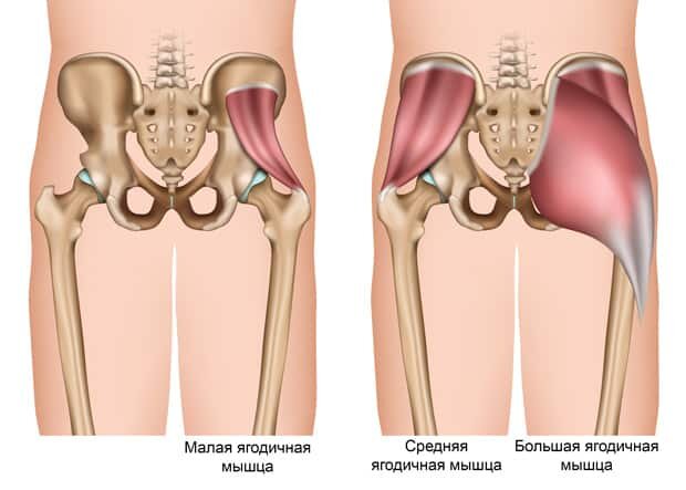 Источник: © bilderzwerg — stock.adobe.com