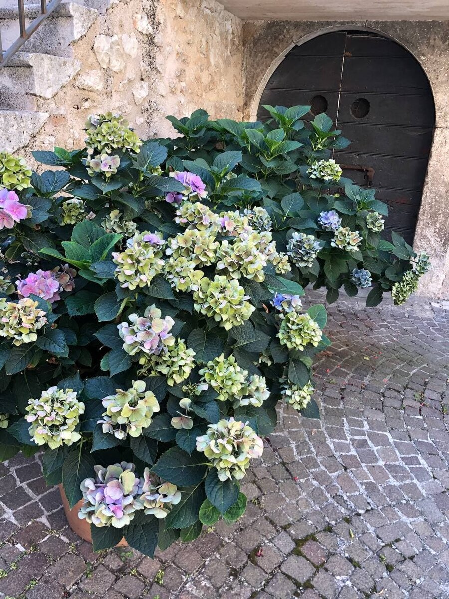 Фото автора.