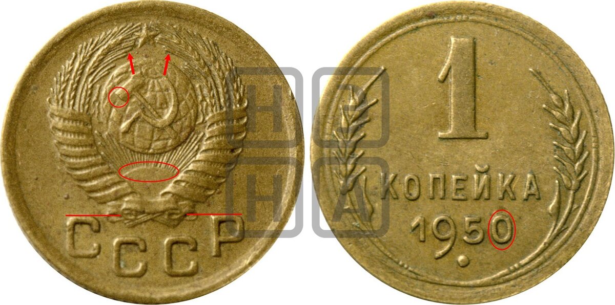 Фото взято с https://numar.ru/