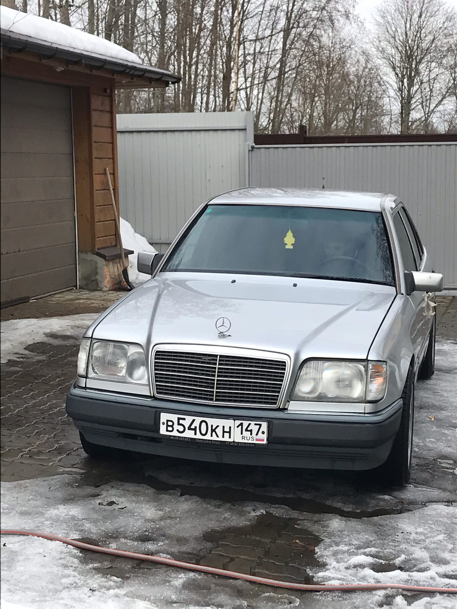 Красавец после мойки)