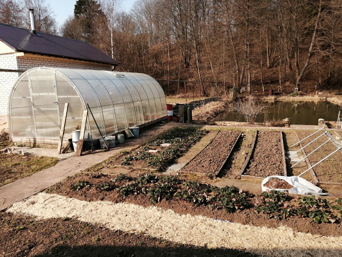 Теплица в апреле