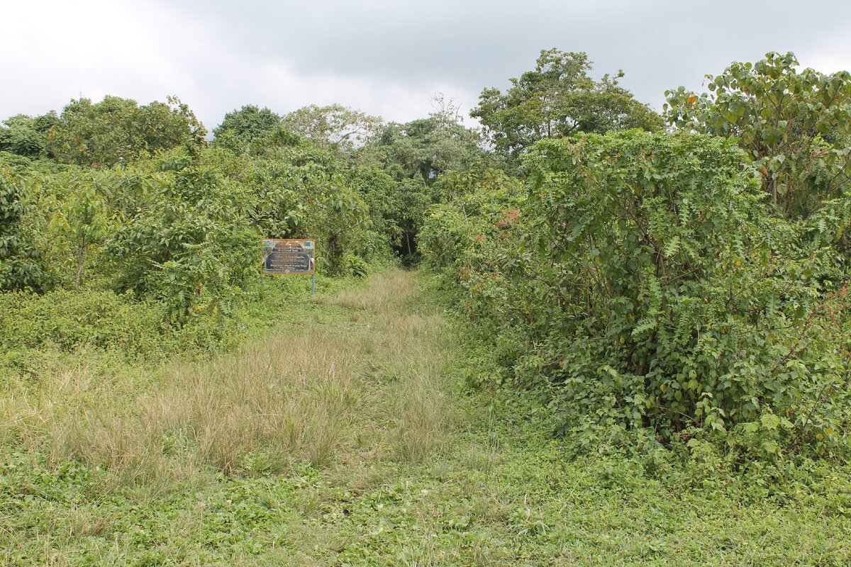 Тропа к вулкану