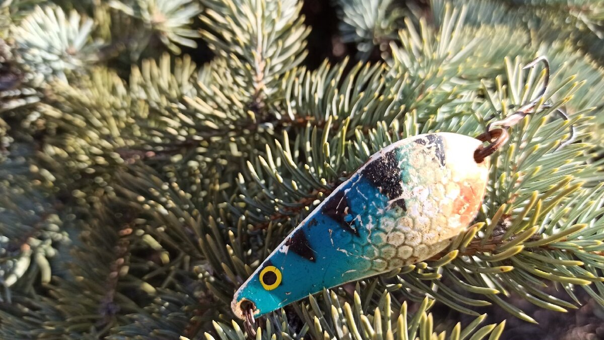 Атом - популярная колеблющаяся блесна для ловли щуки