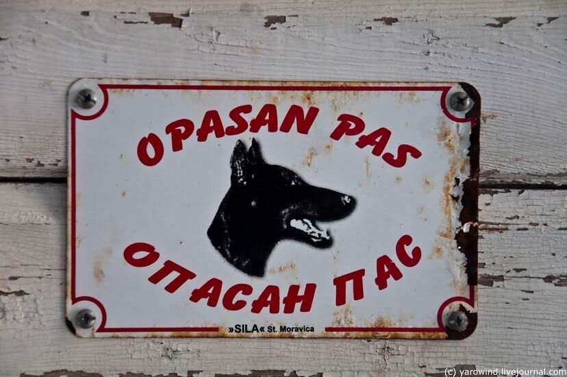Опасан пас