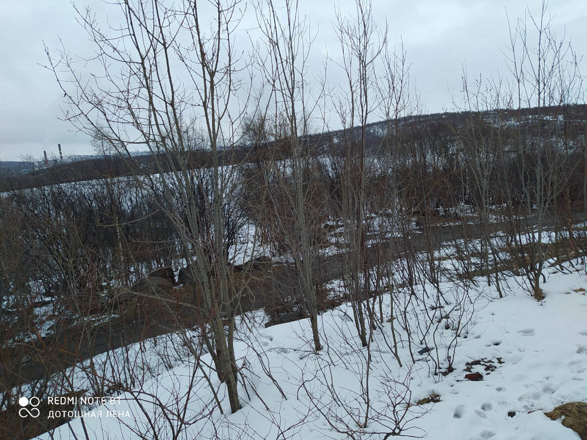 5 мая! Весна? Не, не слышали) 