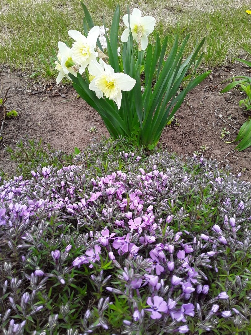 Как будто и не желтел