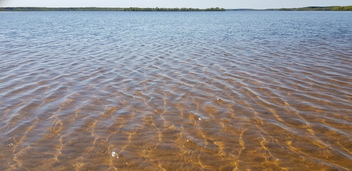 Самый чистый водоем Московской области - Можайское "море"