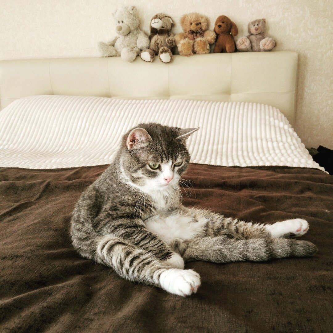 фото использовано в качестве иллюстрации. Источник "Яндекс.Картинки"