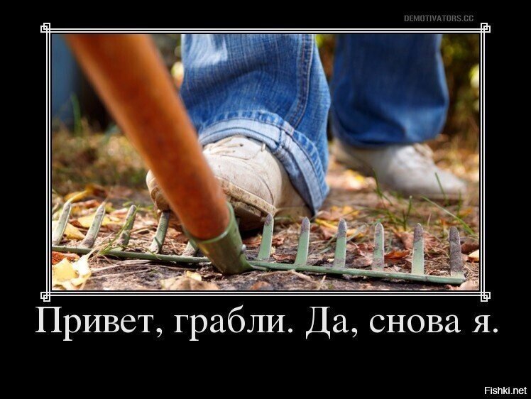 Наступил на те же грабли картинка