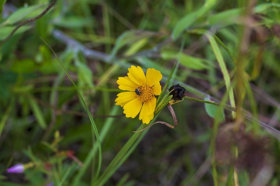 фото взято из открытых источников