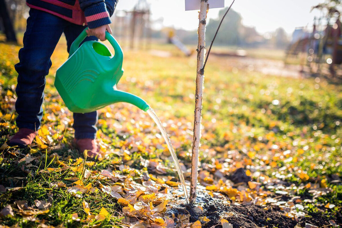 Полив под зиму