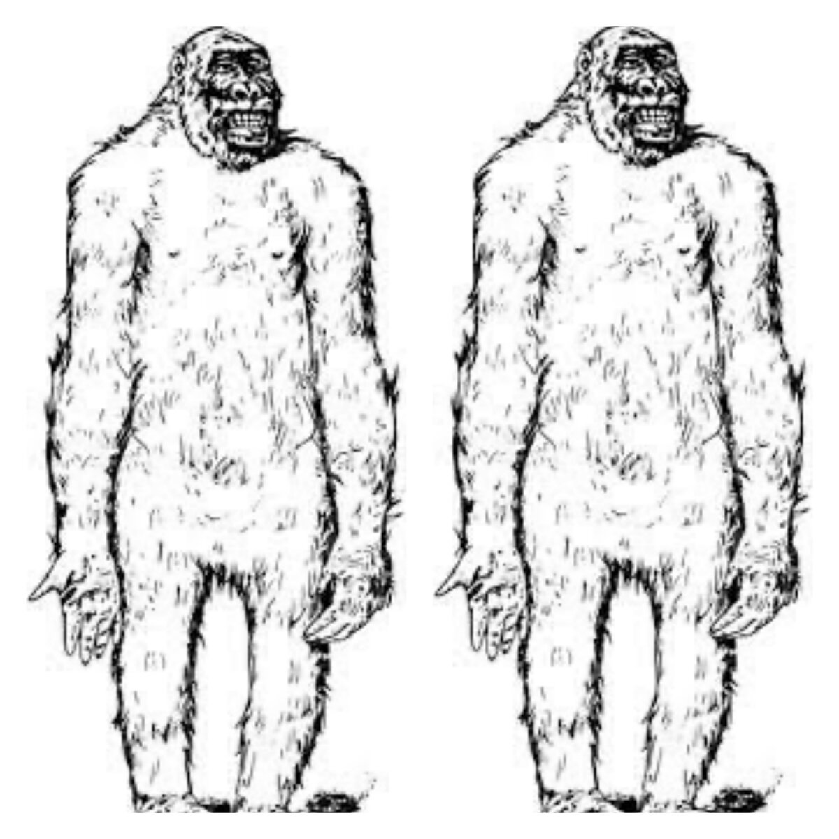 Два существа. Public domain