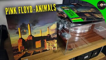 Pink Floyd - Animals. Сравнительный обзор 6-ти изданий на виниле