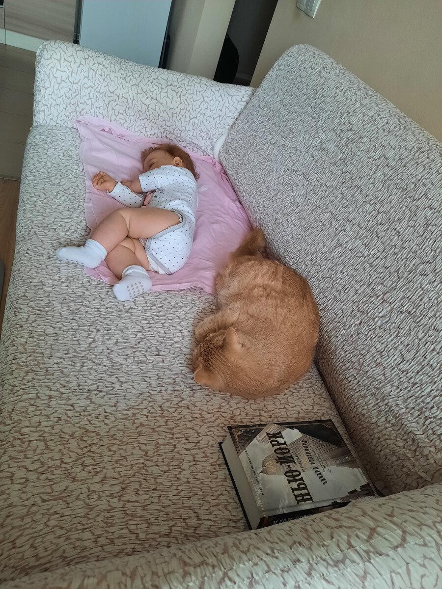 худеющая мама и семья дзен