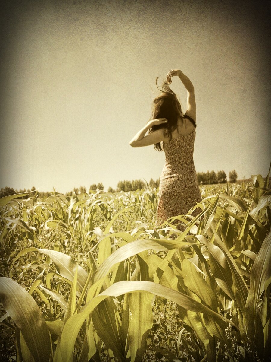 В кукурузном поле