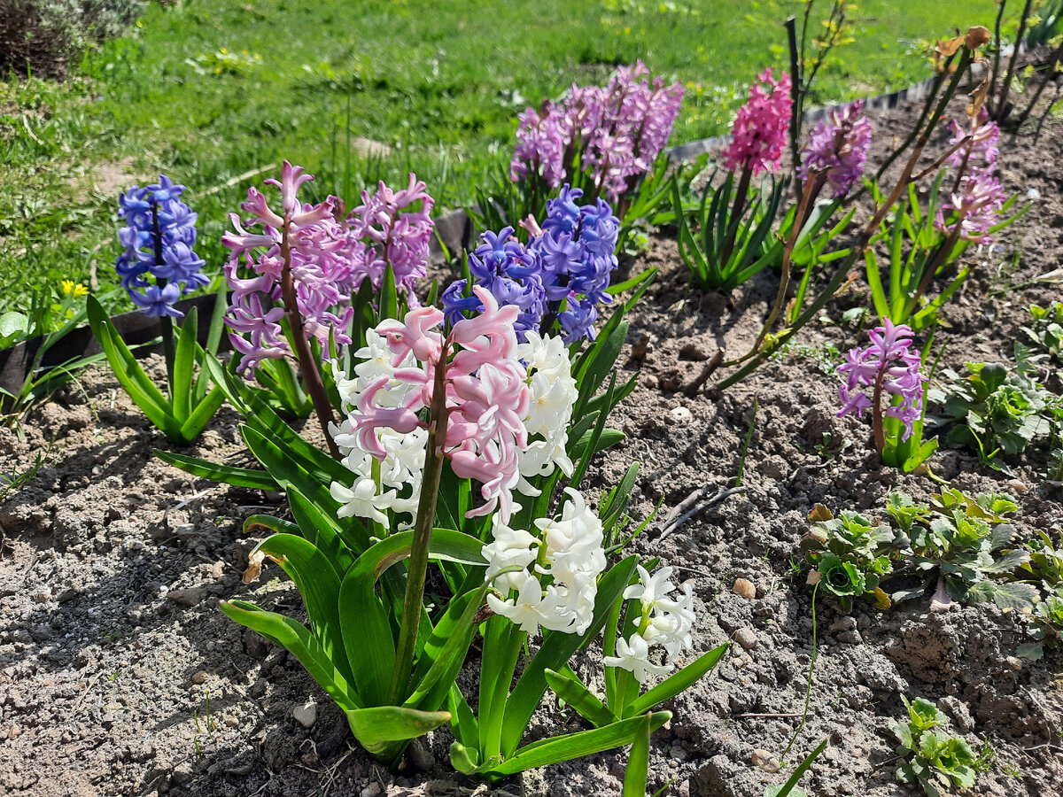 Все фото в статье автора