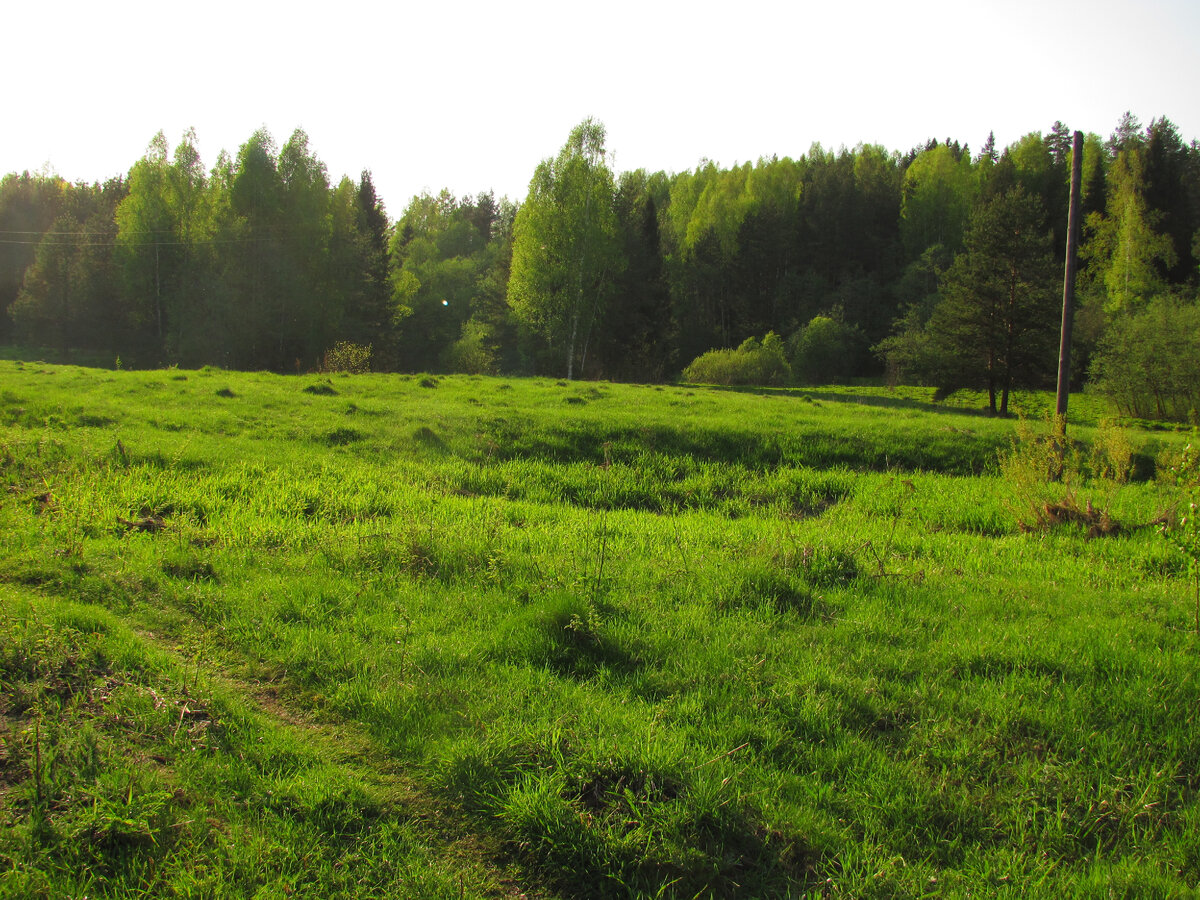 На пути в деревню