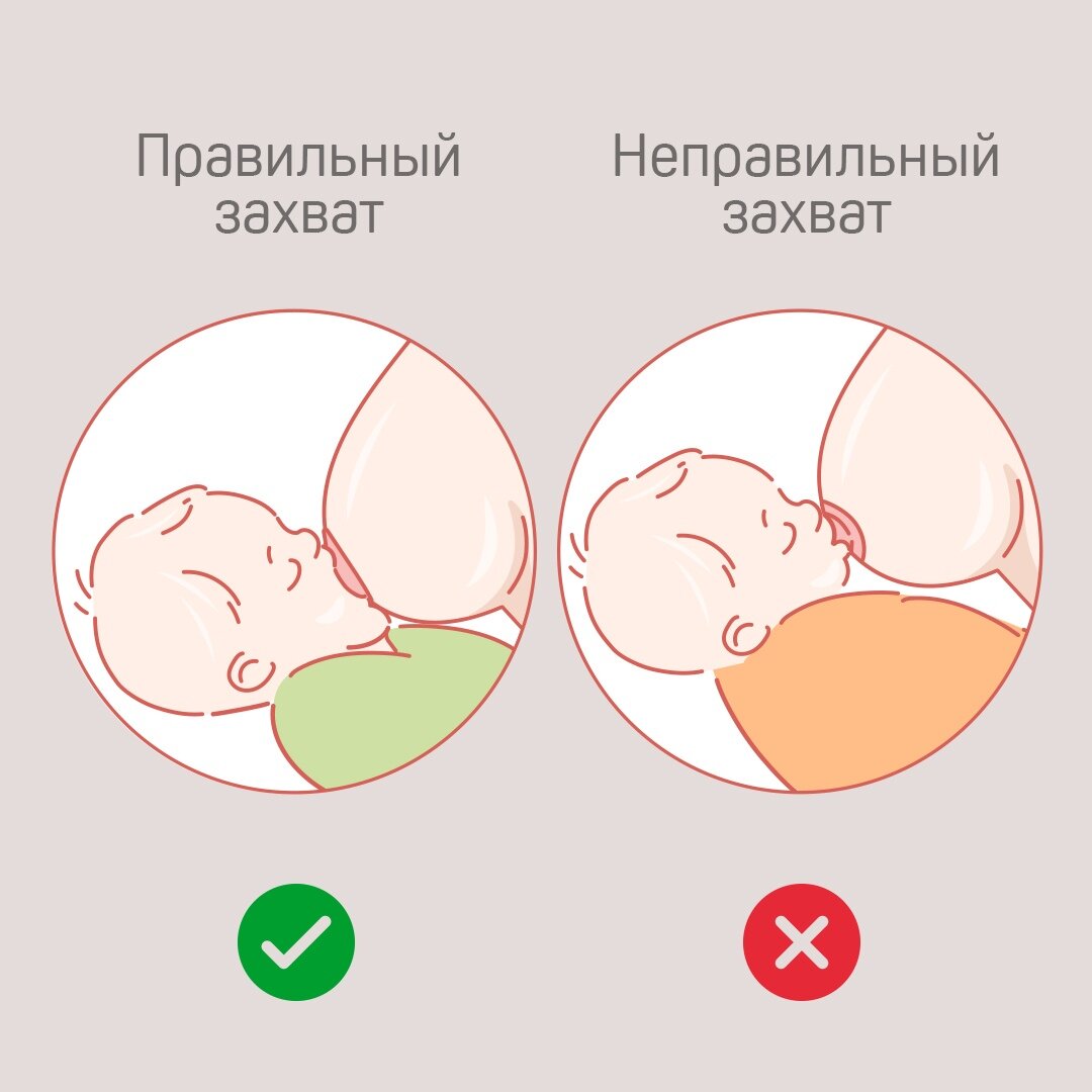 Правильный и неправильный захват груди