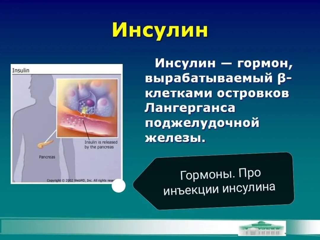 Выработка гормона инсулина происходит. Инсулин гормон. Инсулин – гормон, вырабатываемый поджелудочной железой. Железа вырабатывающая гормон инсулин. Инсулин презентация.