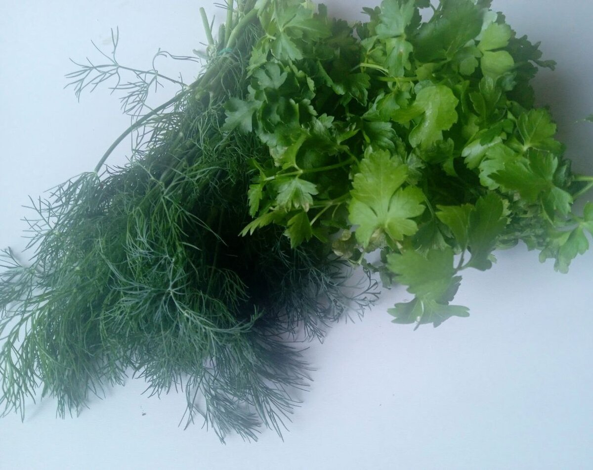 Июньскую зелень можно солить, сушить, консервировать 