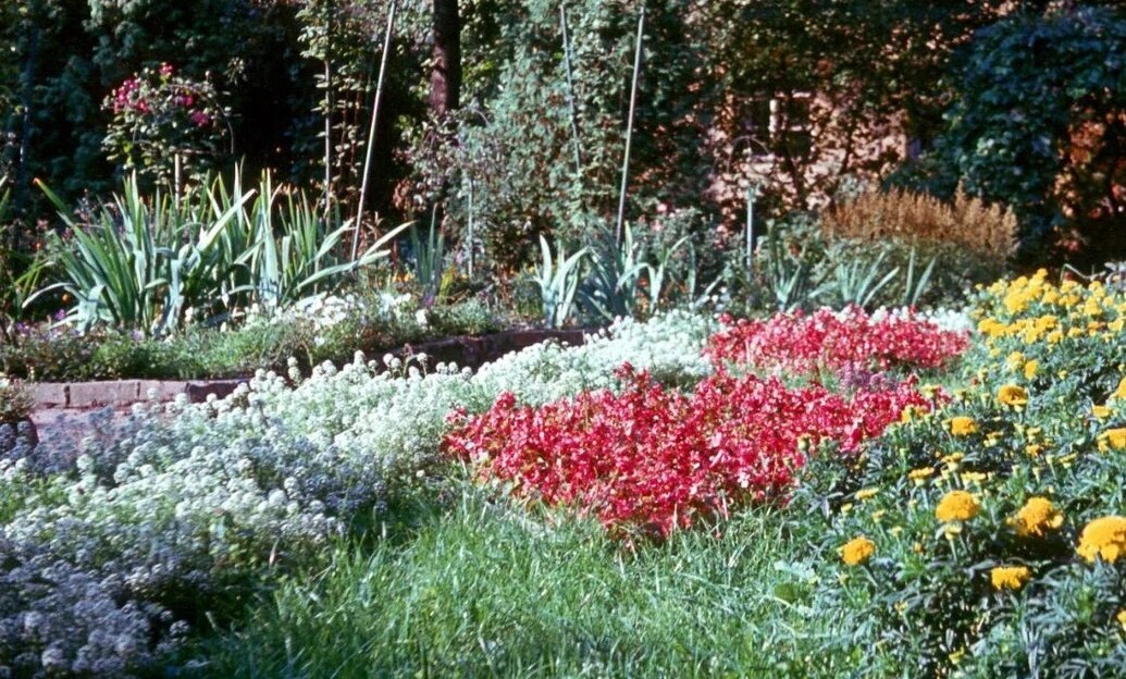 Сад Травникова, 60-е годы