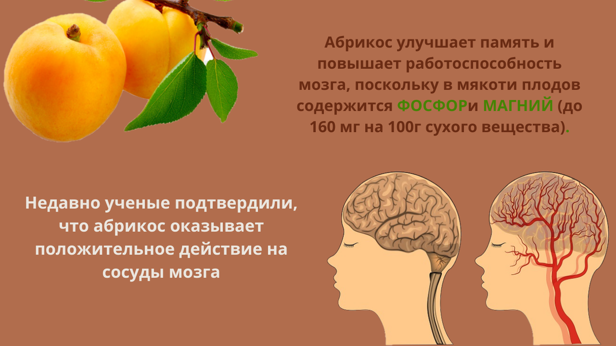 Абрикос польза для здоровья. Название плода абрикоса.