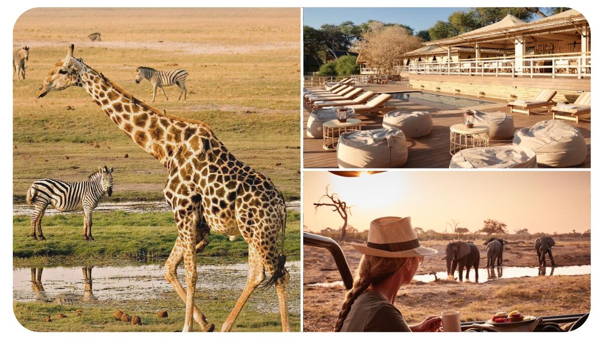 Территория вокруг Belmond Savute Elephant Lodge