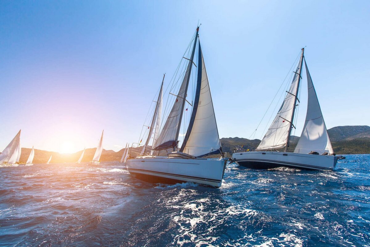 Фото: De Visu / shutterstock.com