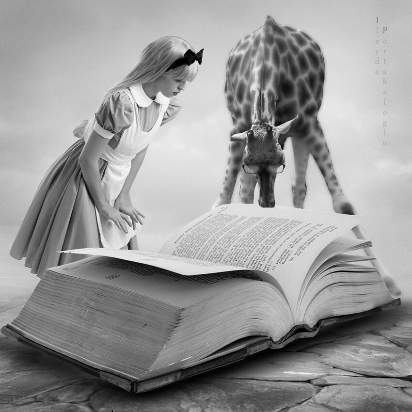 Девушка с книгой. Книга человек. Брендан фрейзер чернильное сердце. Книжные инсталляции в библиотеках. Люди в библиотеке.