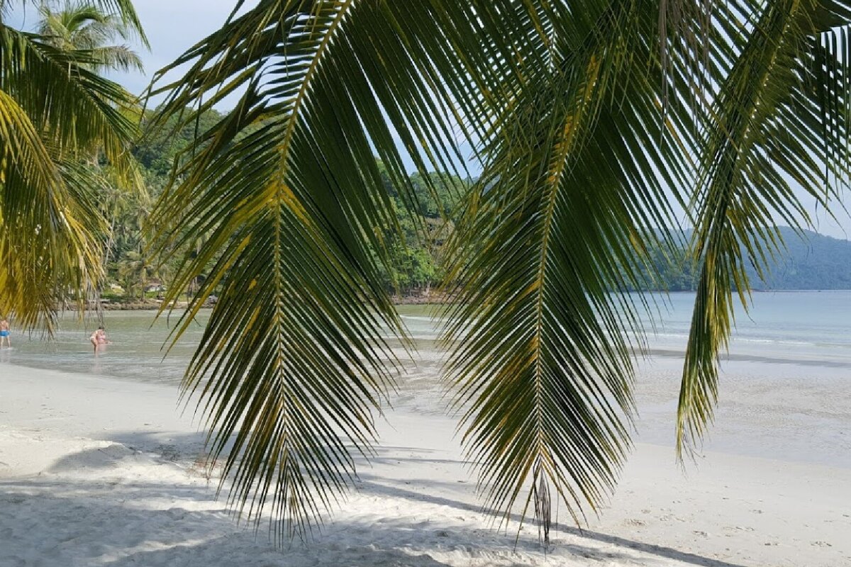 Срок безвизового пребывания в Королевстве Таиланд увеличен с 30 до 45 дней!