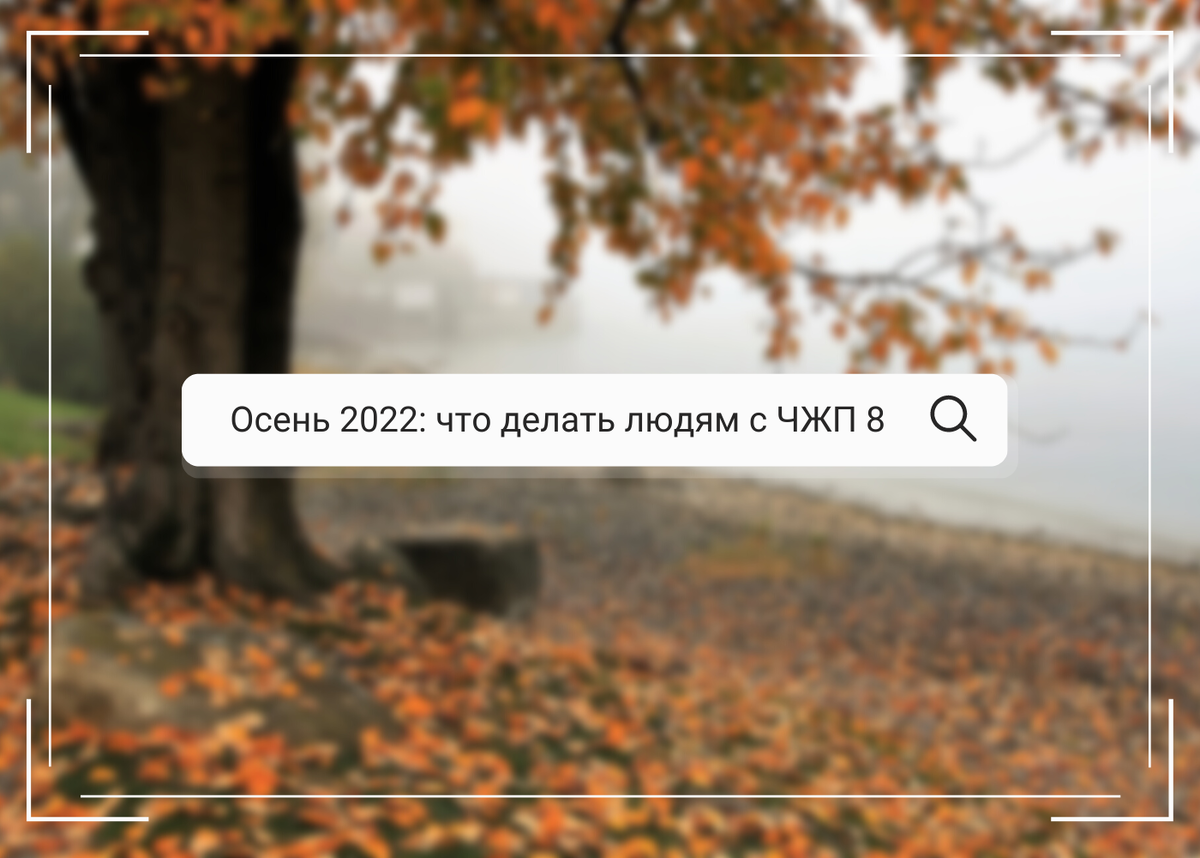 нумерологический прогноз