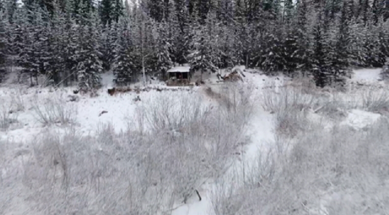 Избушка Тимохи