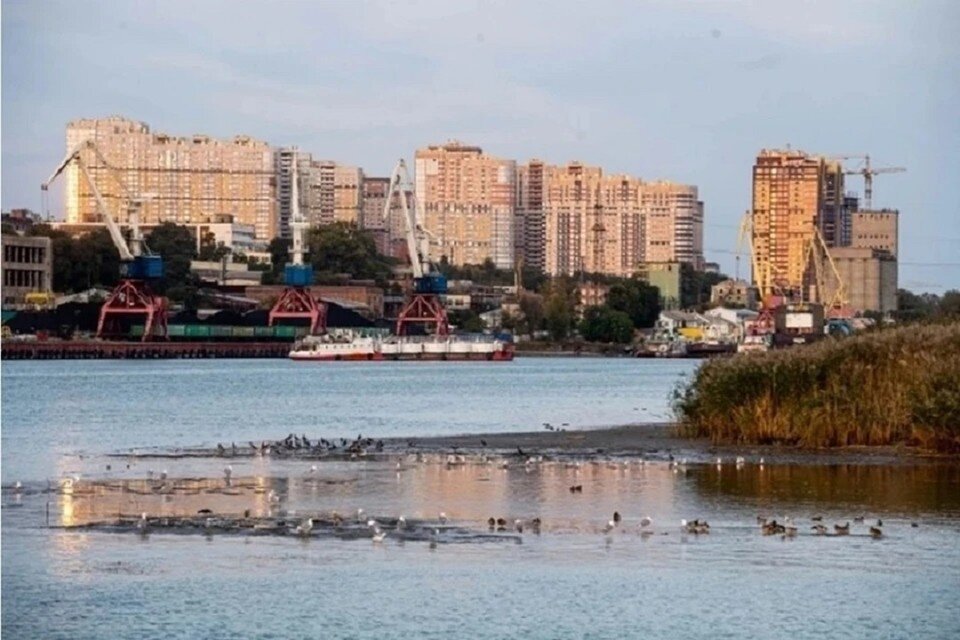     Московский активисты через суд потребовали у Ростовского морского порта уменьшить объем выбросов вредных веществ. Михаил ФРОЛОВ