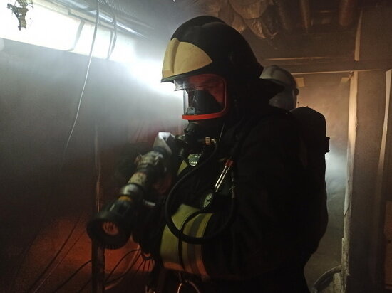     фото пресс-службы ГУ МЧС края