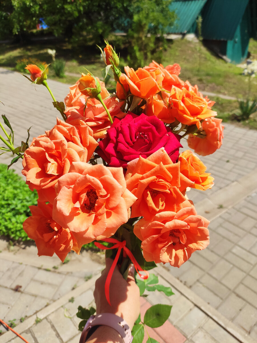 Моим подписчикам)