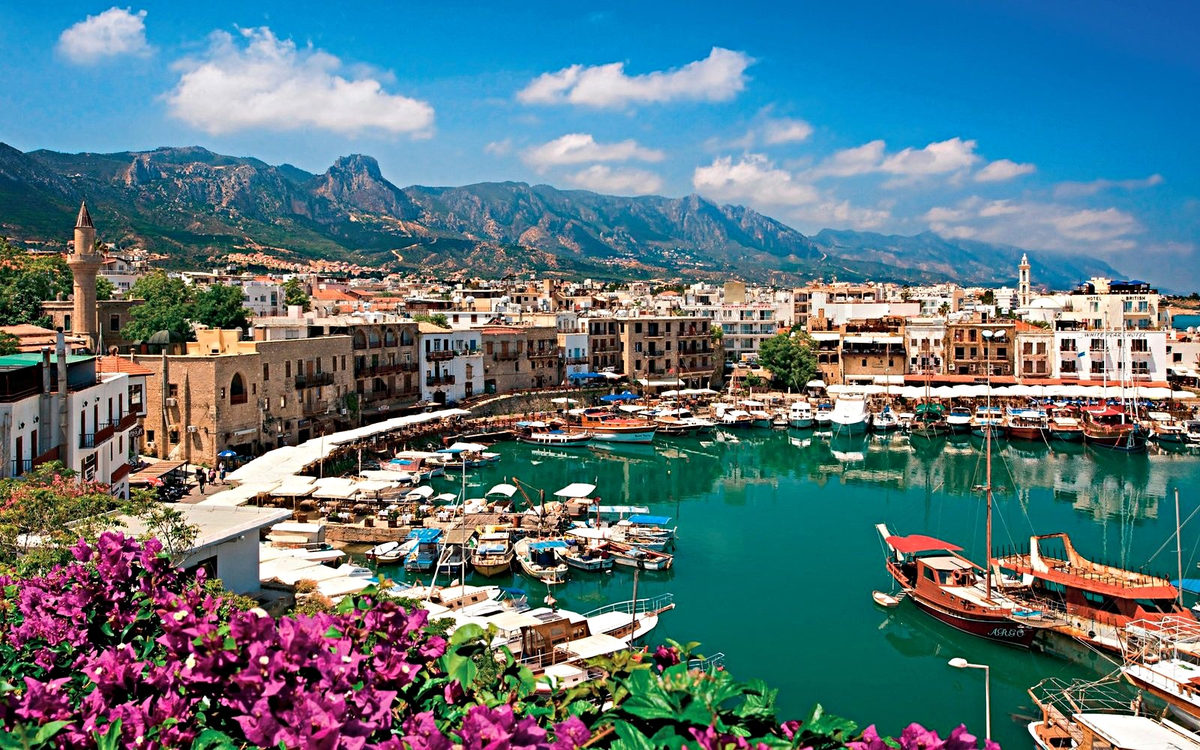 Из открытых источников Яндекса