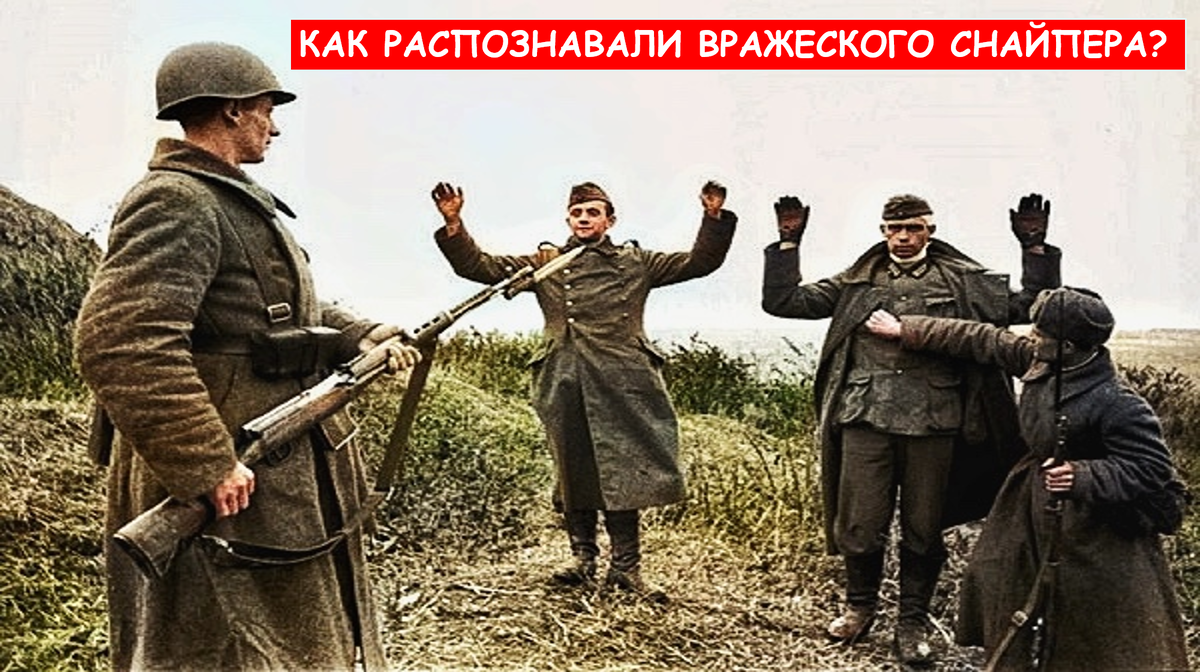 Источник фото: яндекс картинки