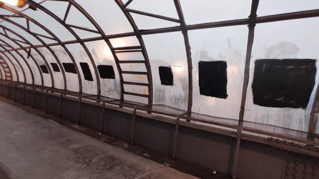     Фото: "Шумные Шушары" "ВКонтакте"